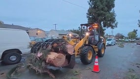 Pico Rivera tornado confirmed by NWS as storm leaves homes damaged, knocks down trees