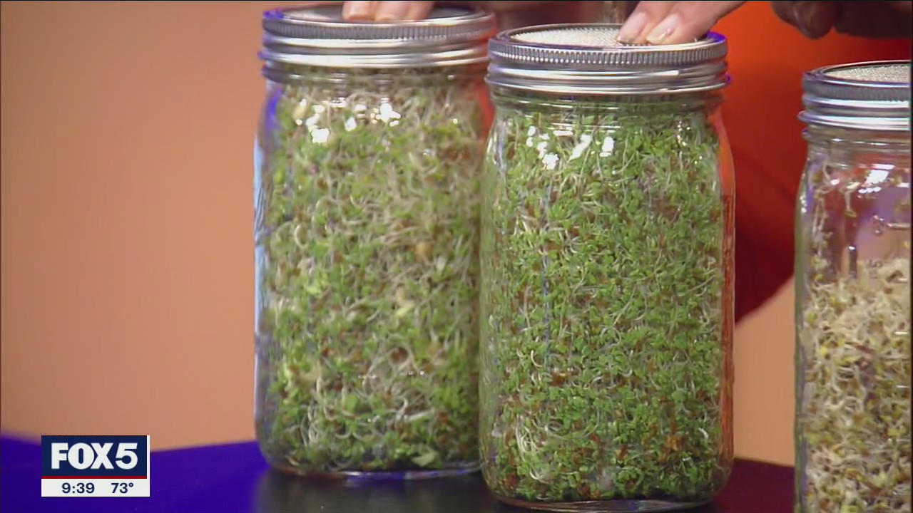What is sprouting?