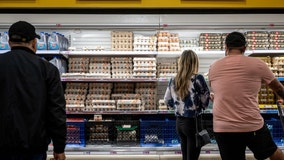 Egg prices continue to increase, reach new record high