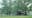 3 kids killed in Amish buggy crash while on their way to school