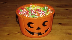 Halloween-like holiday, 'National Trick or Treat Day,' sparks debate about proposed new date