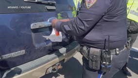 NYPD ghost plate crackdown begins next month: What this means